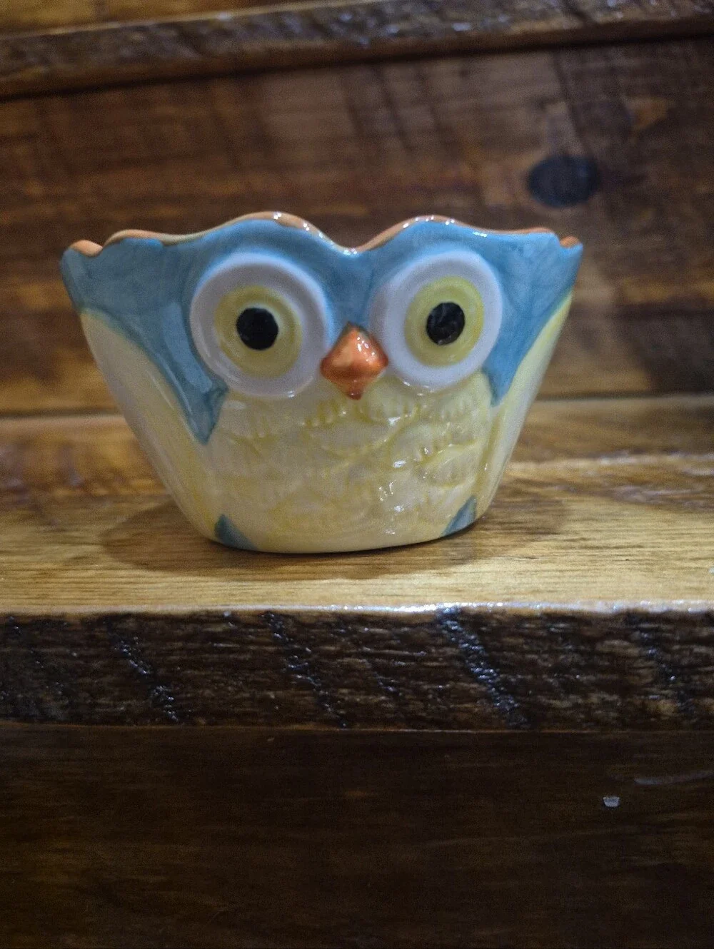 Pier 1 Imports Owl Hand Painted Stoneware Measuring Cups And Spoons Lot